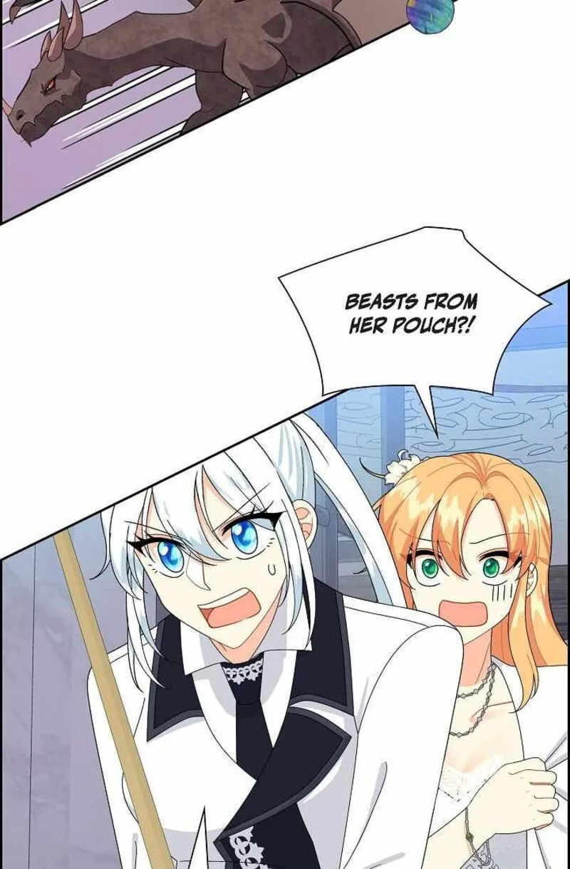 The Destroyer Fell in Love With Me Chapter 62 page 44