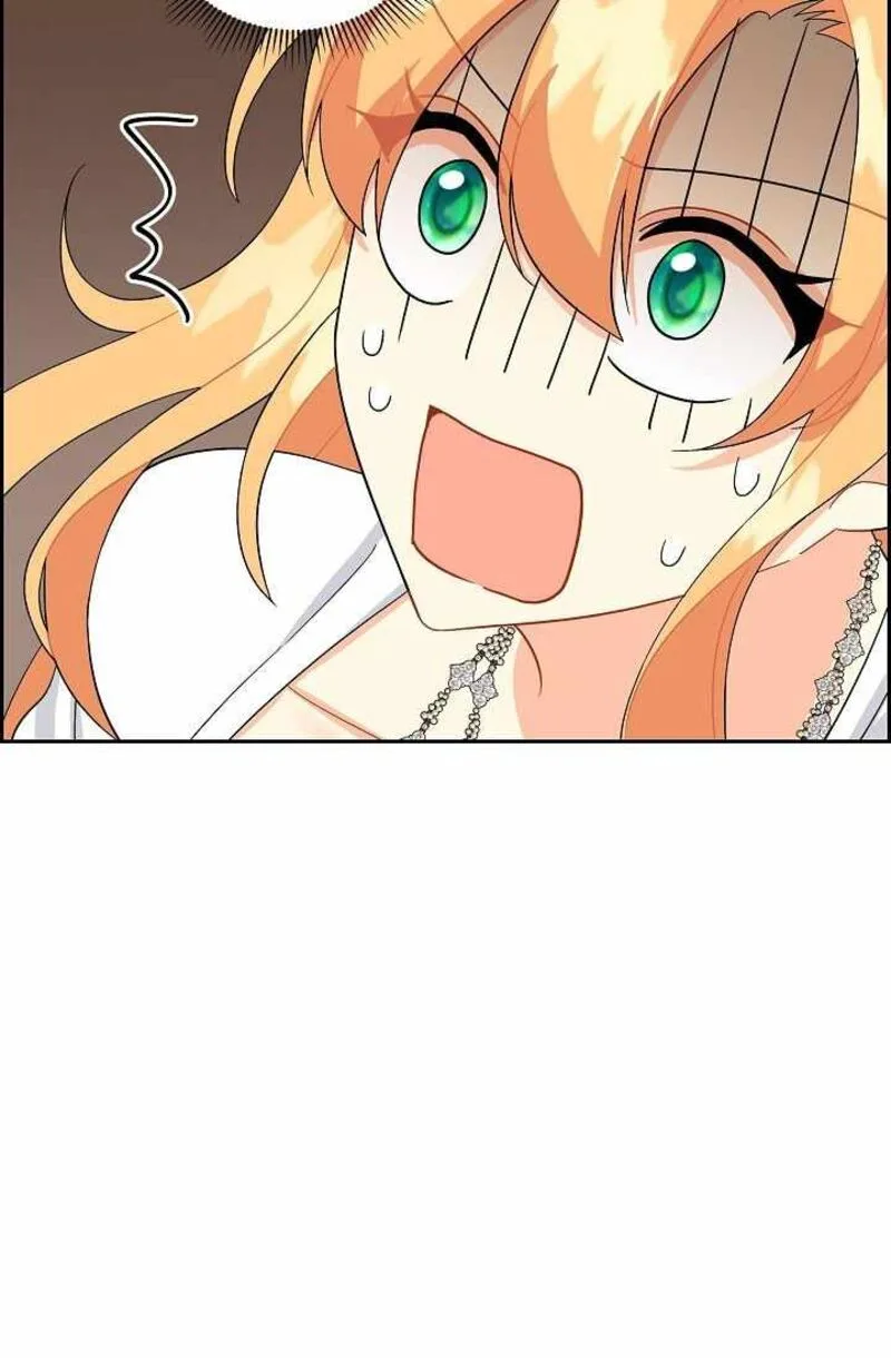 The Destroyer Fell in Love With Me Chapter 62 page 64