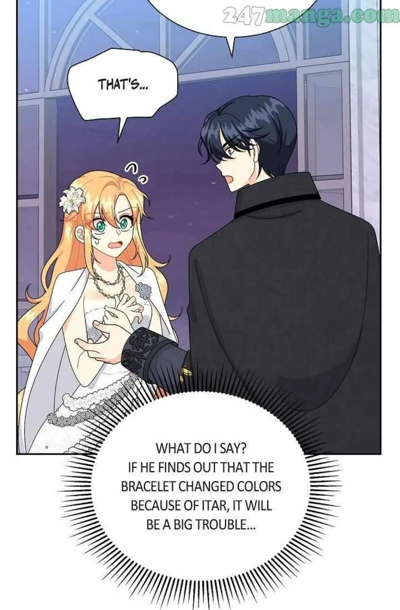 The Destroyer Fell in Love With Me Chapter 63 page 13