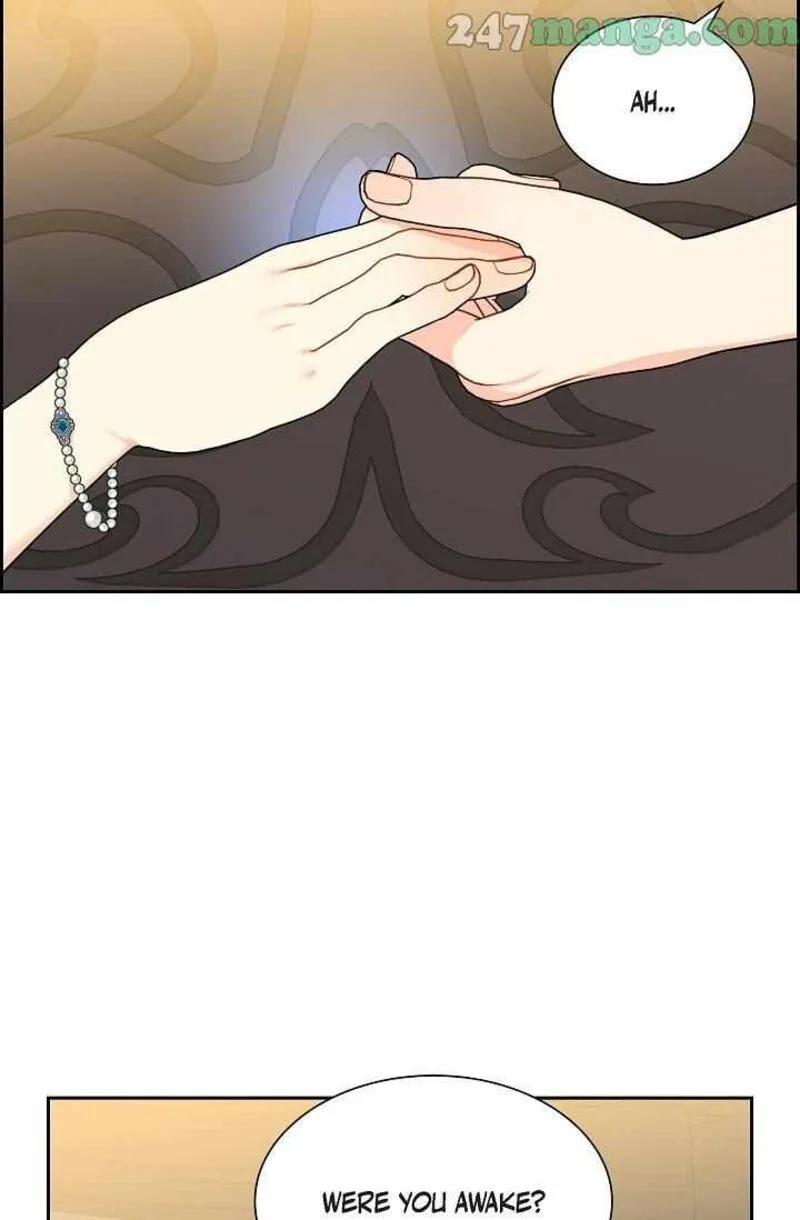 The Destroyer Fell in Love With Me Chapter 64 page 35