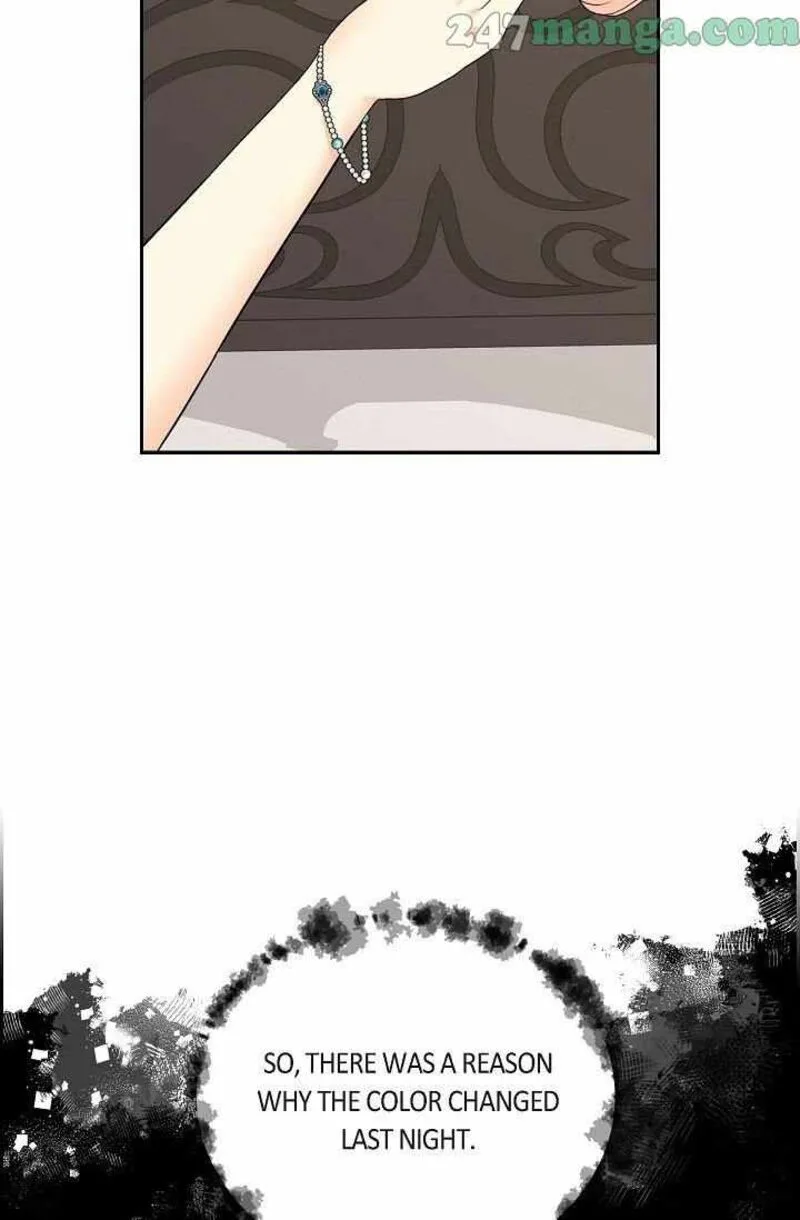 The Destroyer Fell in Love With Me Chapter 64 page 28