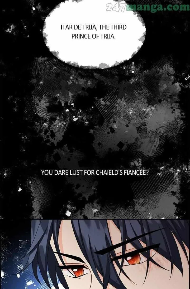 The Destroyer Fell in Love With Me Chapter 64 page 30