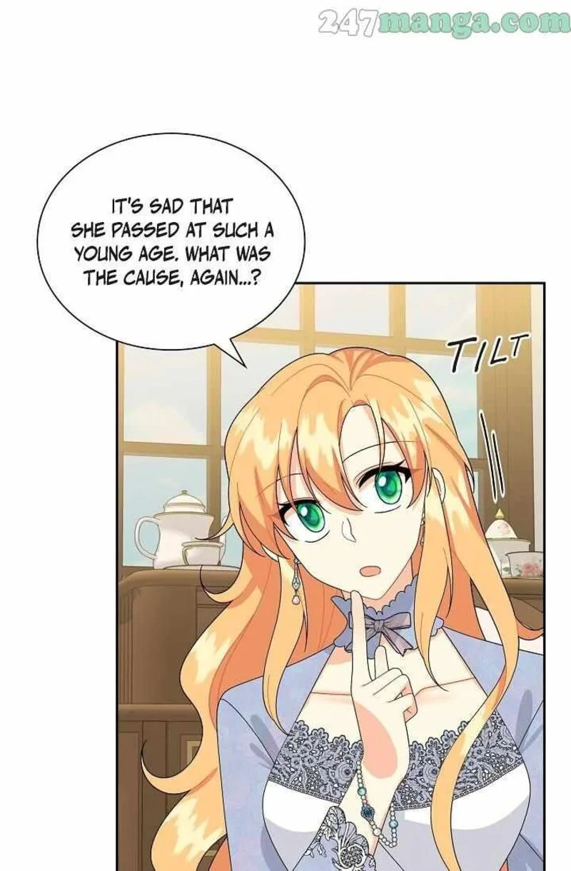 The Destroyer Fell in Love With Me Chapter 65 page 16