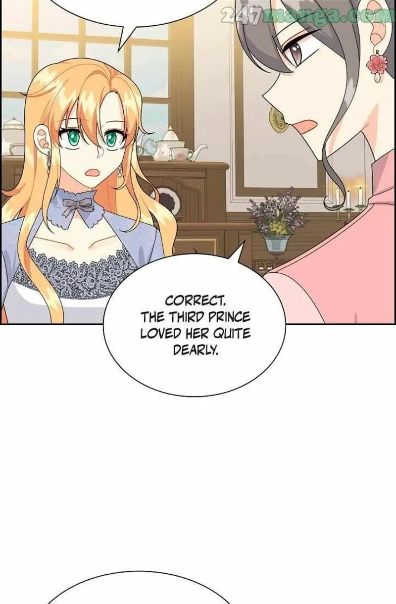The Destroyer Fell in Love With Me Chapter 65 page 12