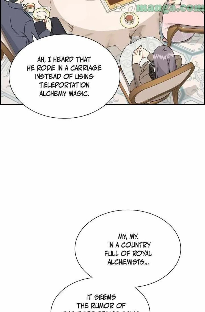 The Destroyer Fell in Love With Me Chapter 65 page 8