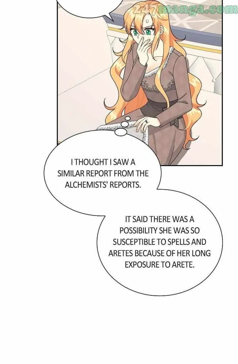 The Destroyer Fell in Love With Me Chapter 66 page 47