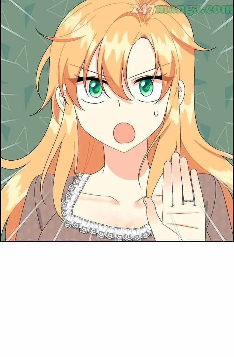 The Destroyer Fell in Love With Me Chapter 66 page 72