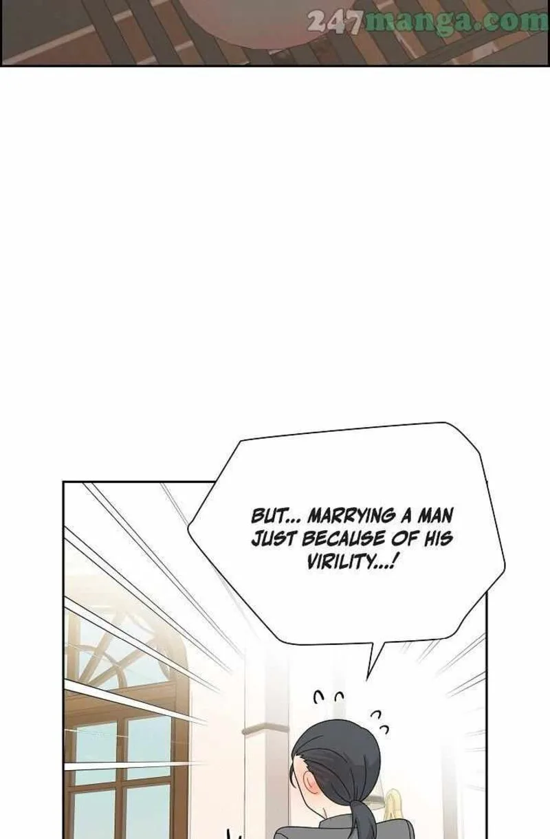 The Destroyer Fell in Love With Me Chapter 68 page 34