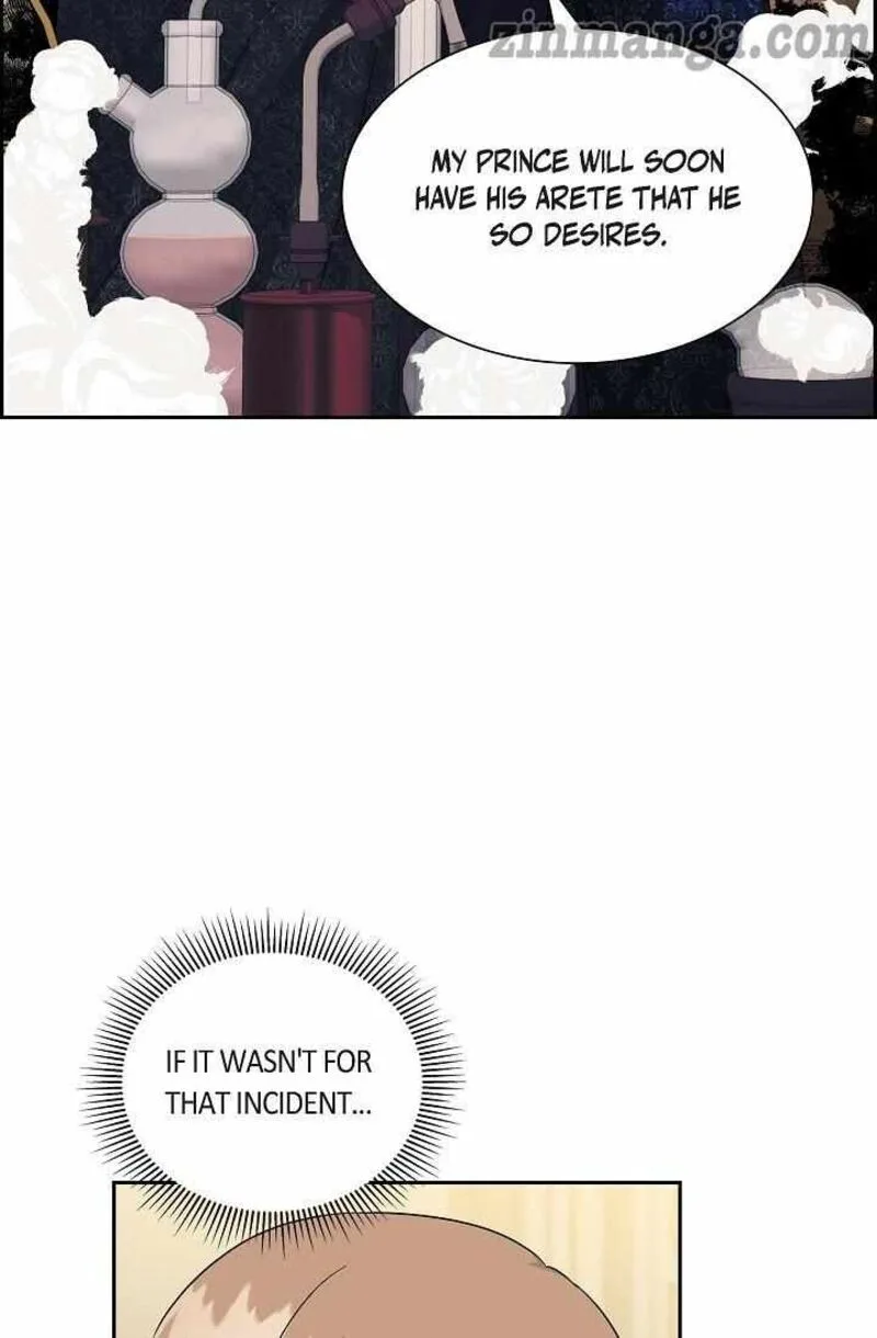 The Destroyer Fell in Love With Me Chapter 70 page 67
