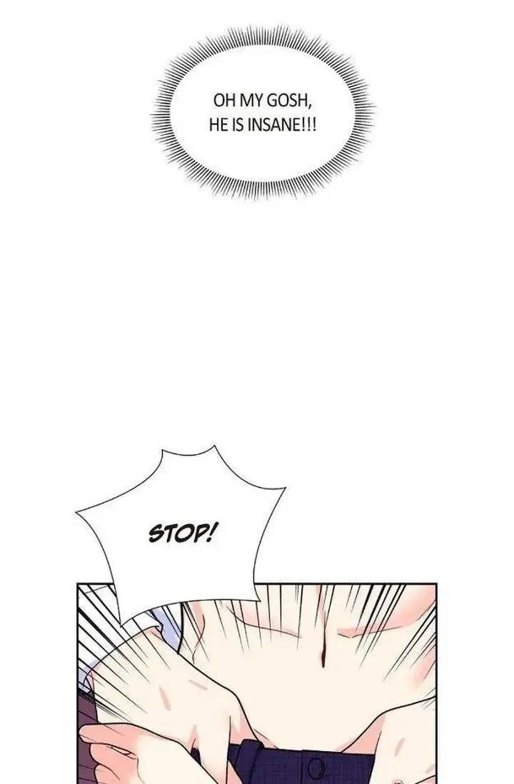 The Destroyer Fell in Love With Me Chapter 9 page 37