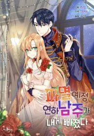 The Destroyer Fell in Love With Me cover