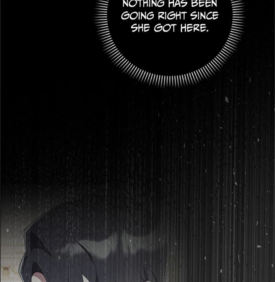 The Duke's Family Is Not My Problem Chapter 11 page 48