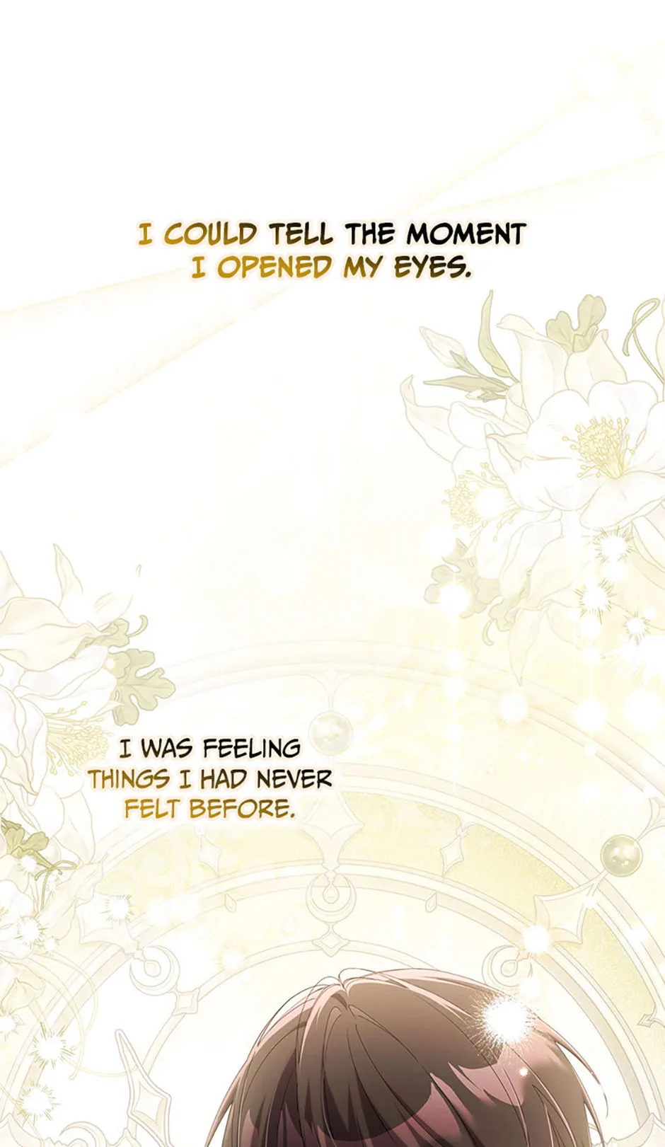 The Duke's Family Is Not My Problem Chapter 53 page 73