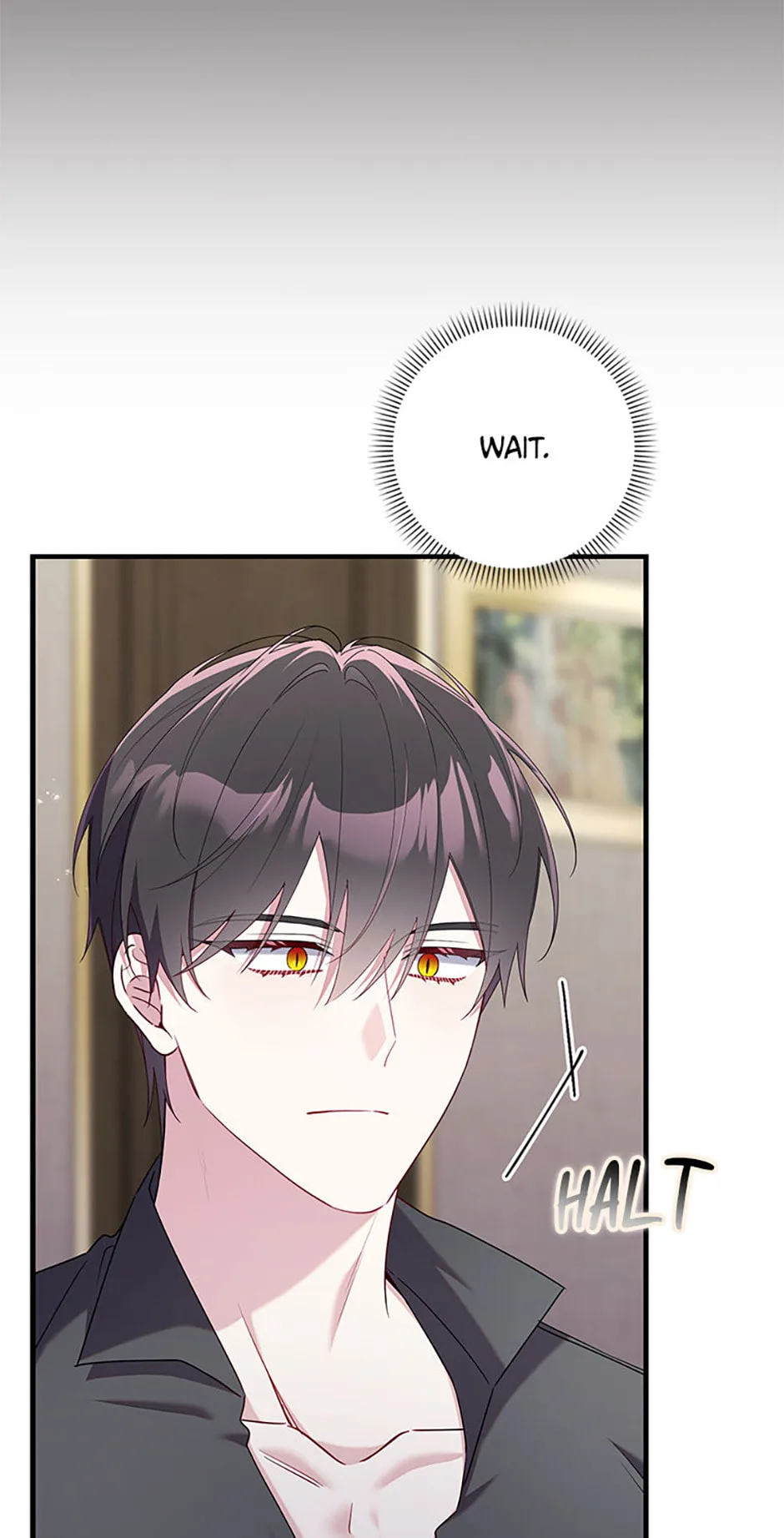 The Duke's Family Is Not My Problem Chapter 53 page 103
