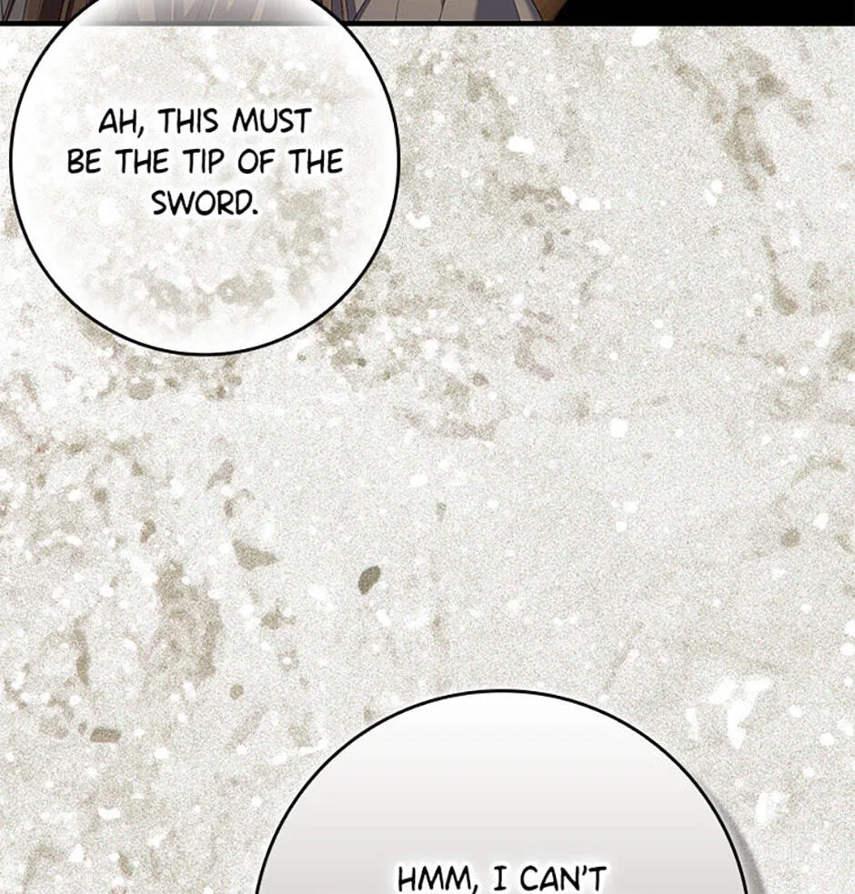 The Duke's Family Is Not My Problem Chapter 56 page 47