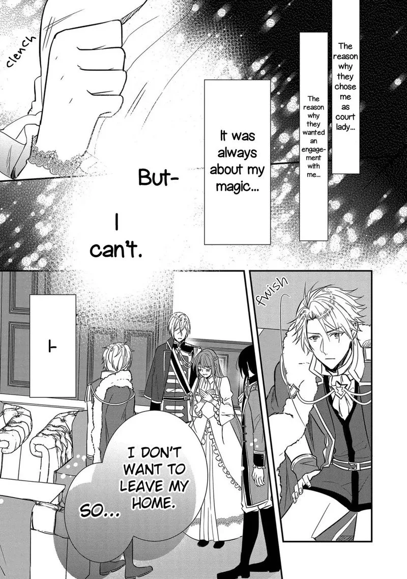 The Emperor Hopes for the Court Lady as His Bride Chapter 2 page 27