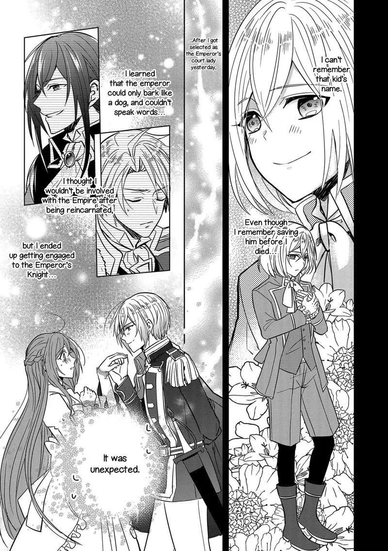 The Emperor Hopes for the Court Lady as His Bride Chapter 3 page 7