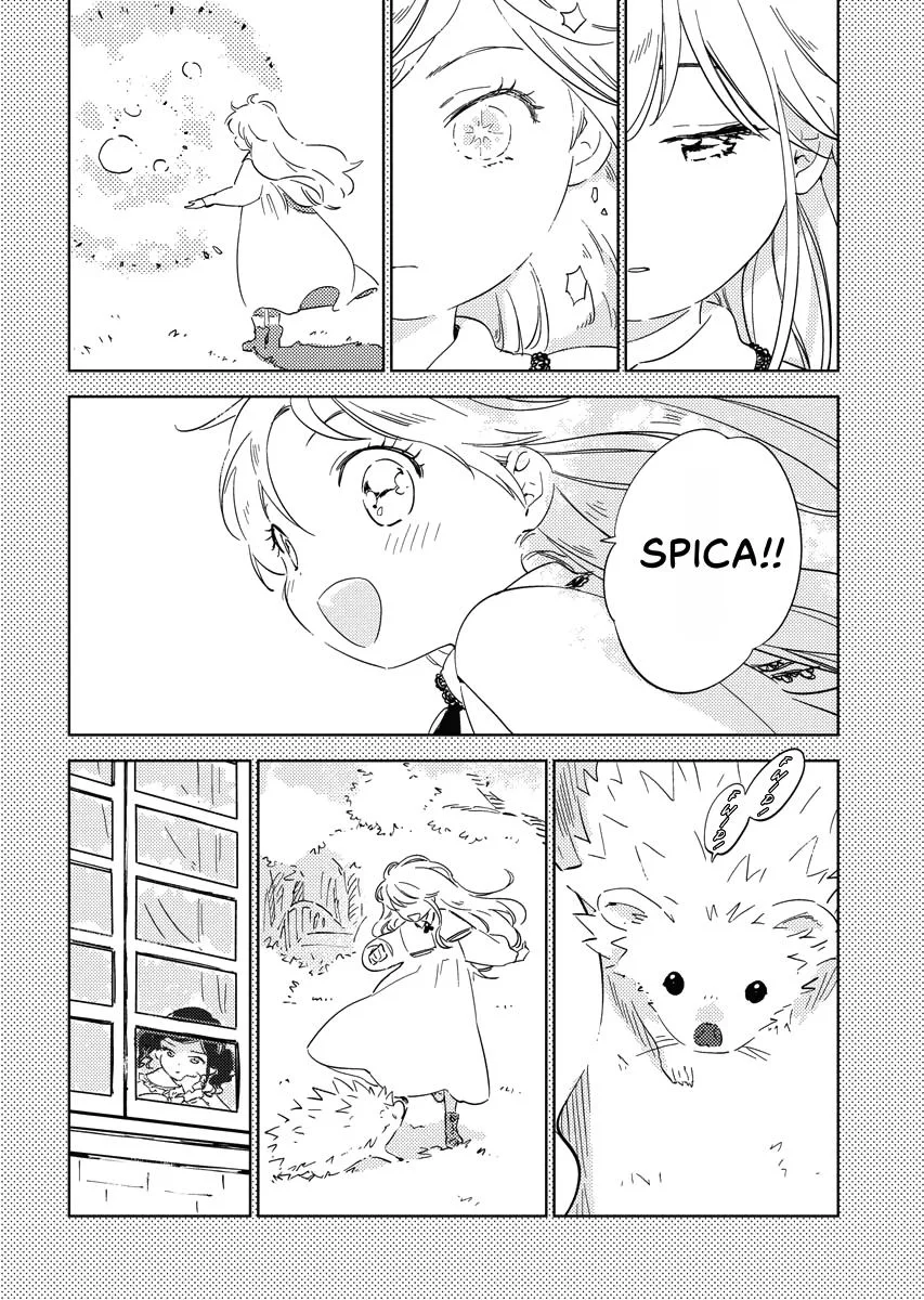 The Fake Marriage of a Noblewoman Chapter 1 page 19