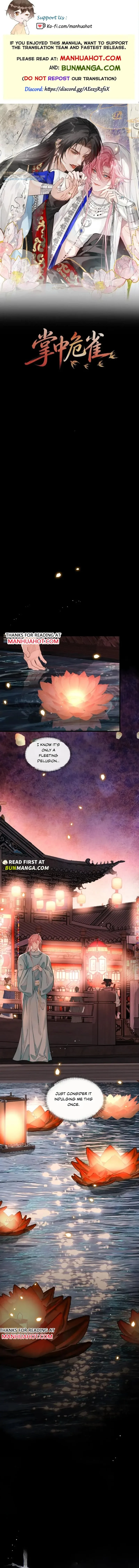 The Fragile Sparrow in the Palm Chapter 16 page 1