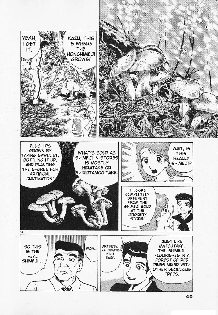 The Gourmet Chapter 179 page 14