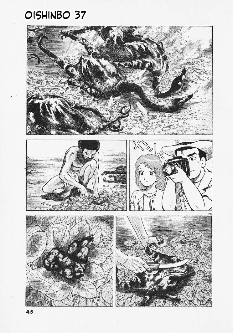 The Gourmet Chapter 336 page 20