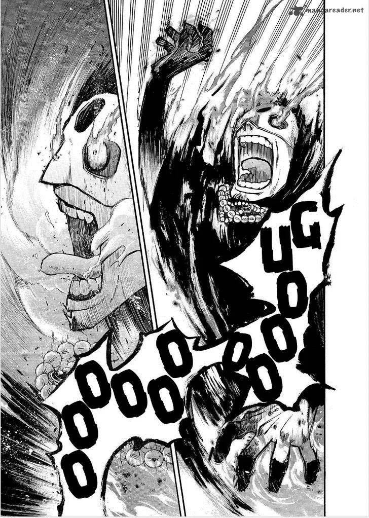 The Heroic Legend of Arslan (ARAKAWA Hiromu) Chapter 30 page 14