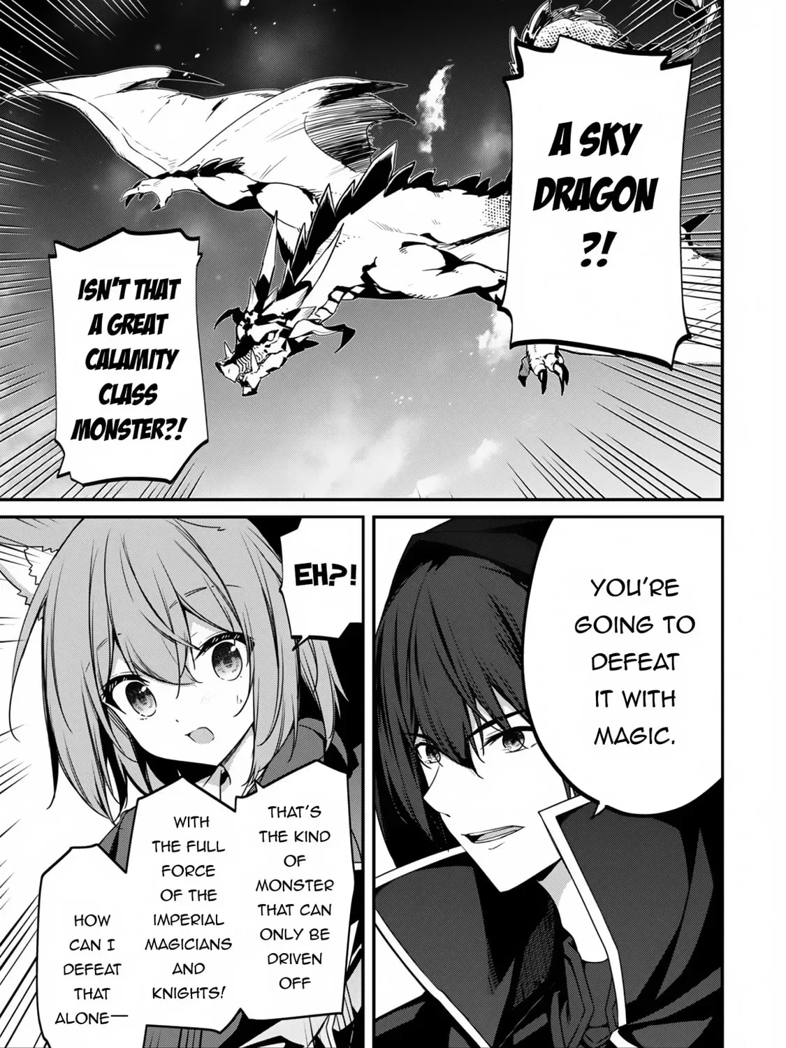 The Invincible Summoner Who Crawled up From Level 1 Chapter 12 page 13