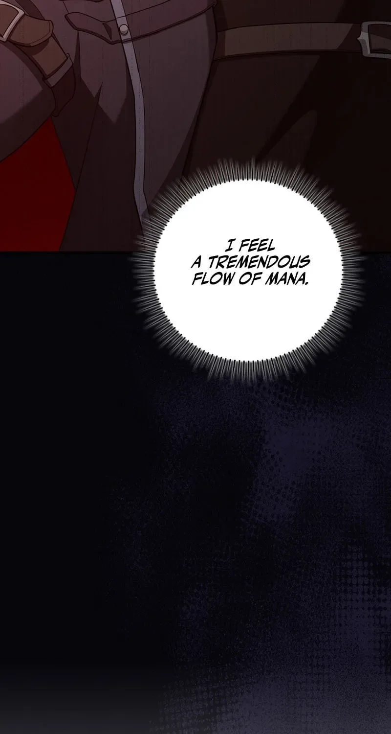 The Maxed-out Player Chapter 60 page 71