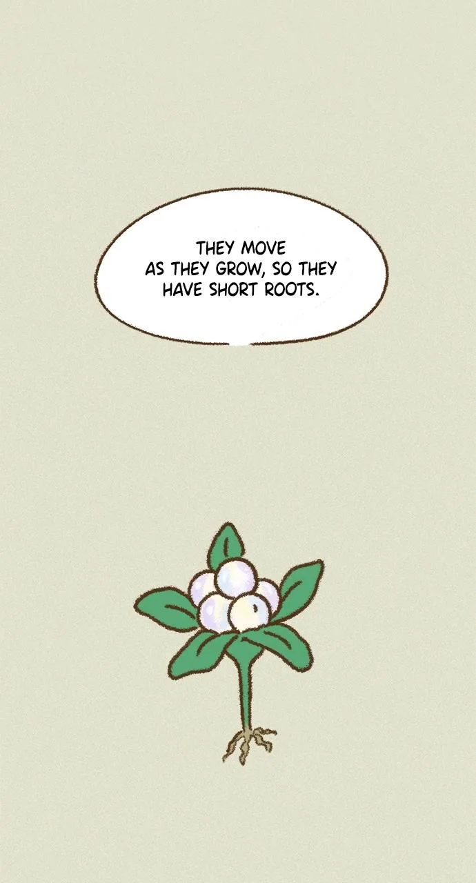 The Memory Shop Chapter 51 page 23