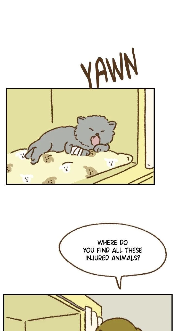 The Memory Shop Chapter 64 page 40