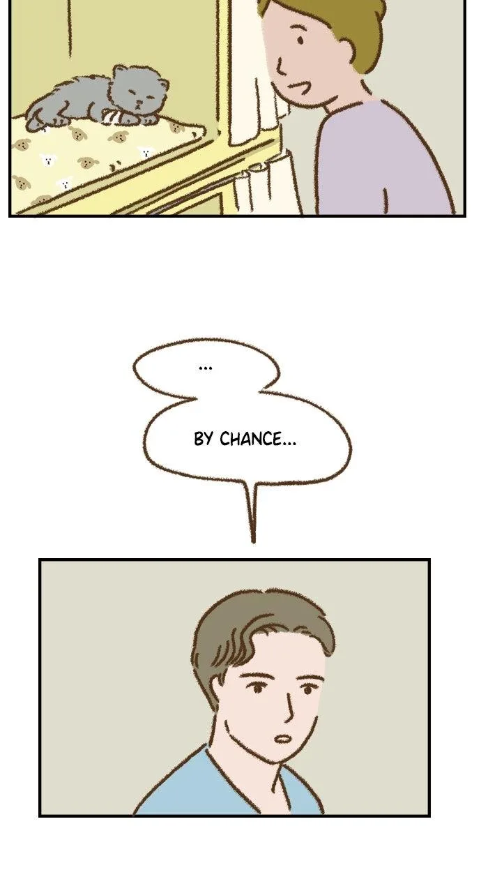 The Memory Shop Chapter 64 page 41