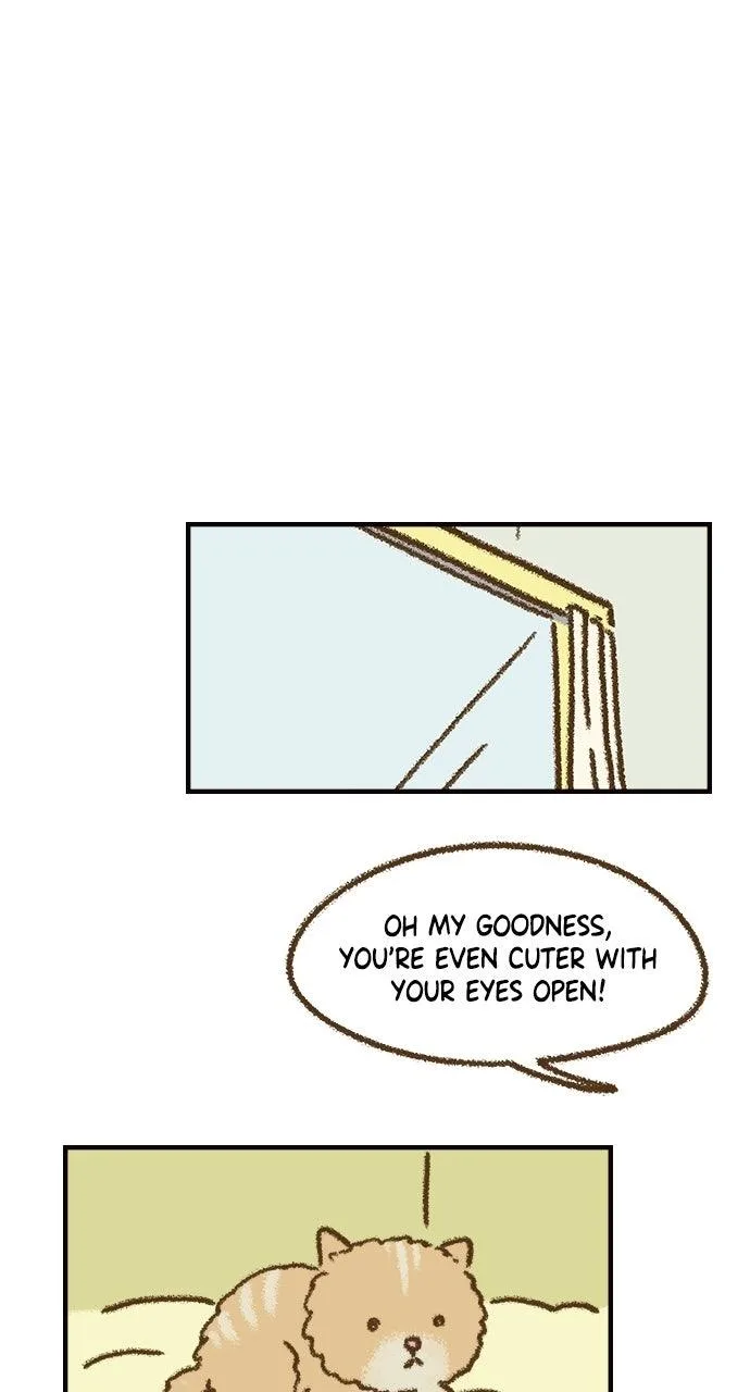 The Memory Shop Chapter 82 page 27