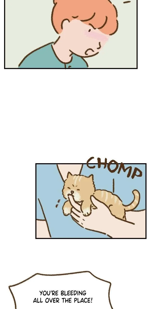 The Memory Shop Chapter 82 page 54