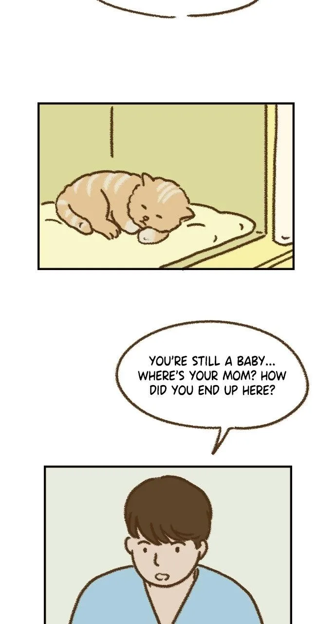The Memory Shop Chapter 92 page 33