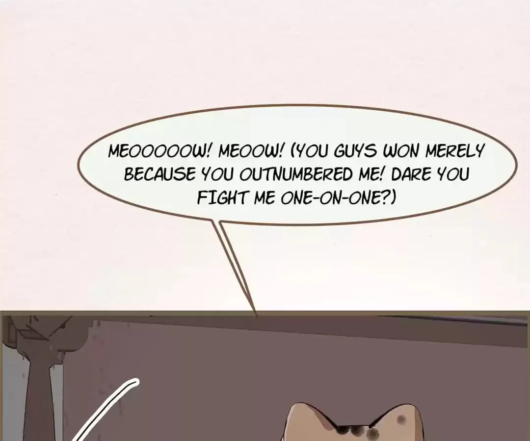 The Misguided Chapter 75 page 53