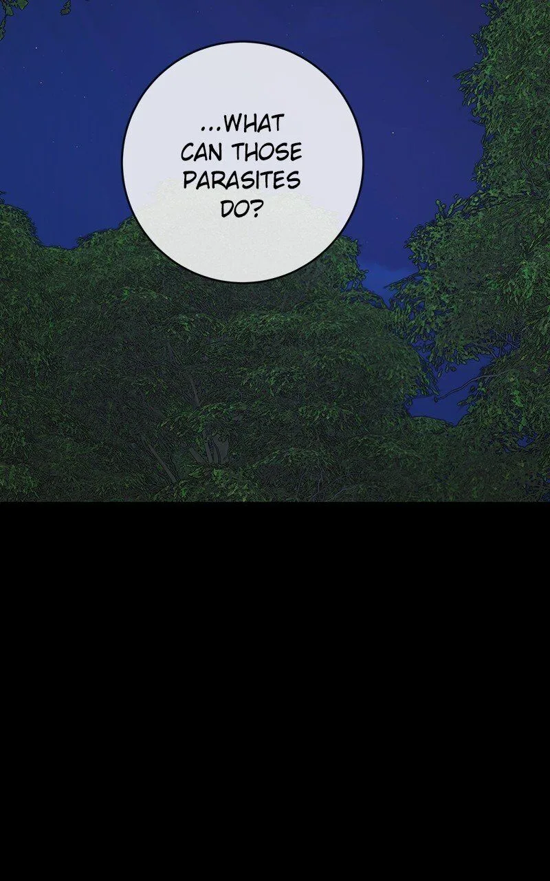 The Newlywed Life of a Witch and a Dragon Chapter 105 page 37