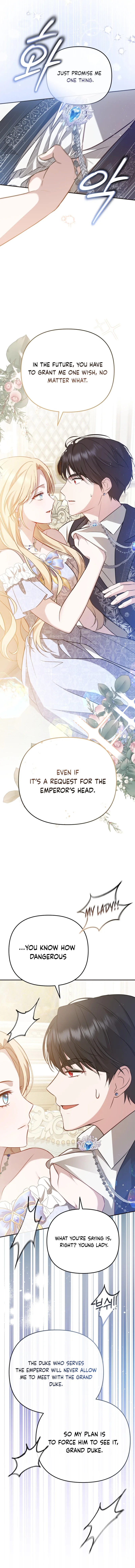 The Princess is Still The Strongest Chapter 3 page 17