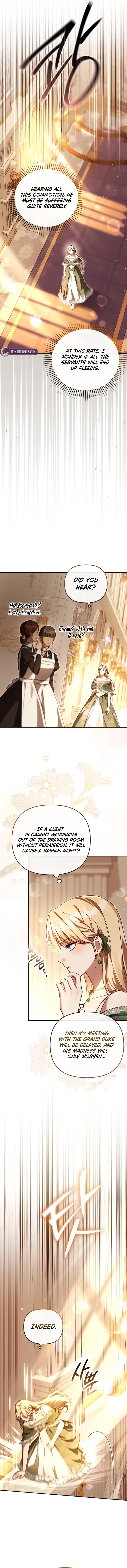The Princess is Still The Strongest Chapter 42 page 3