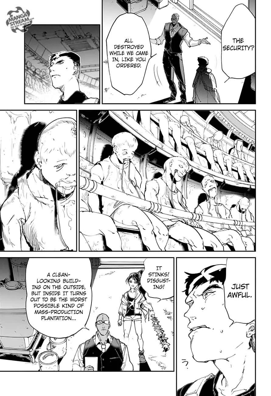 The Promised Neverland Chapter 113 page 8
