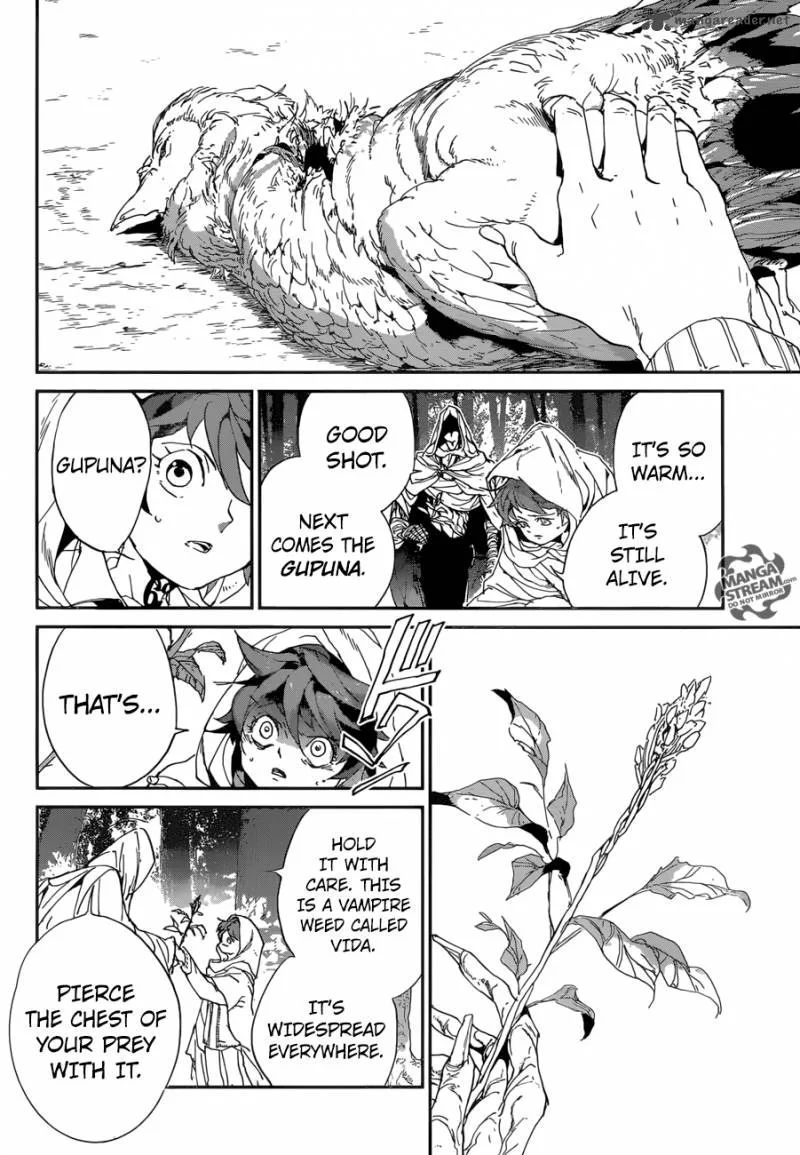 The Promised Neverland Chapter 49 page 14