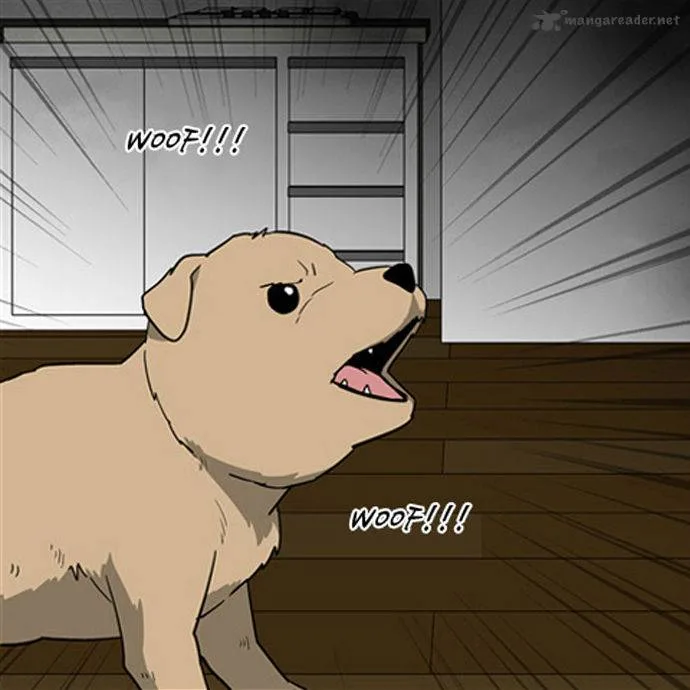 The Red Book Chapter 10 page 5