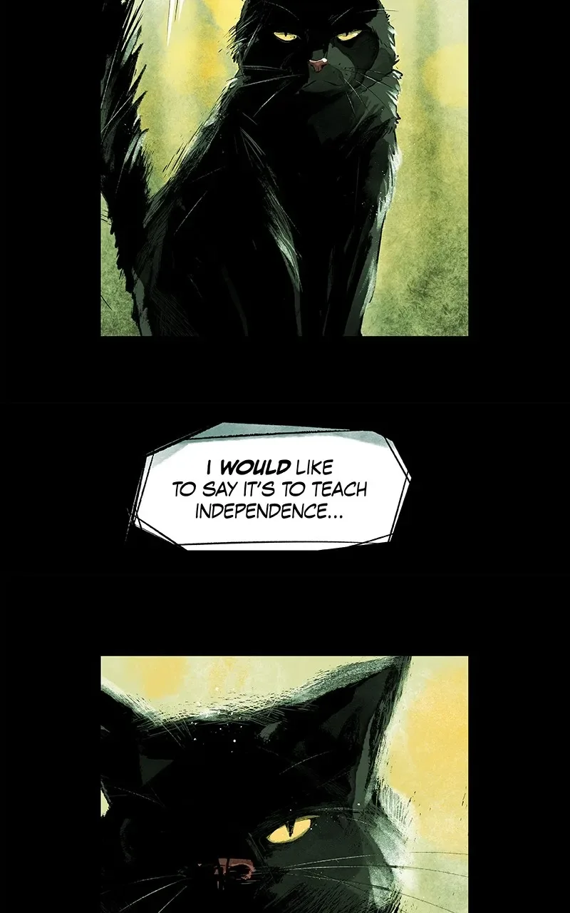The Shadow Prophet Chapter 55 page 22