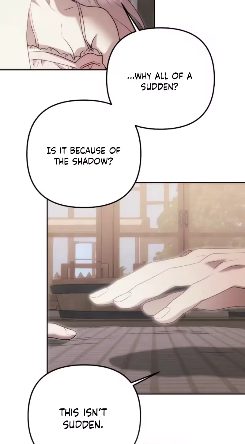 The Shadow that Fell for Me Chapter 11 page 48