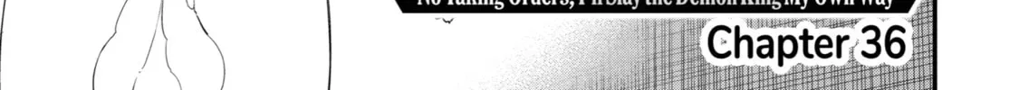 The Strongest Wizard Making Full Use of the Strategy Guide -No Taking Orders, I’ll Slay the Demon King My Own Way- Chapter 36 page 6