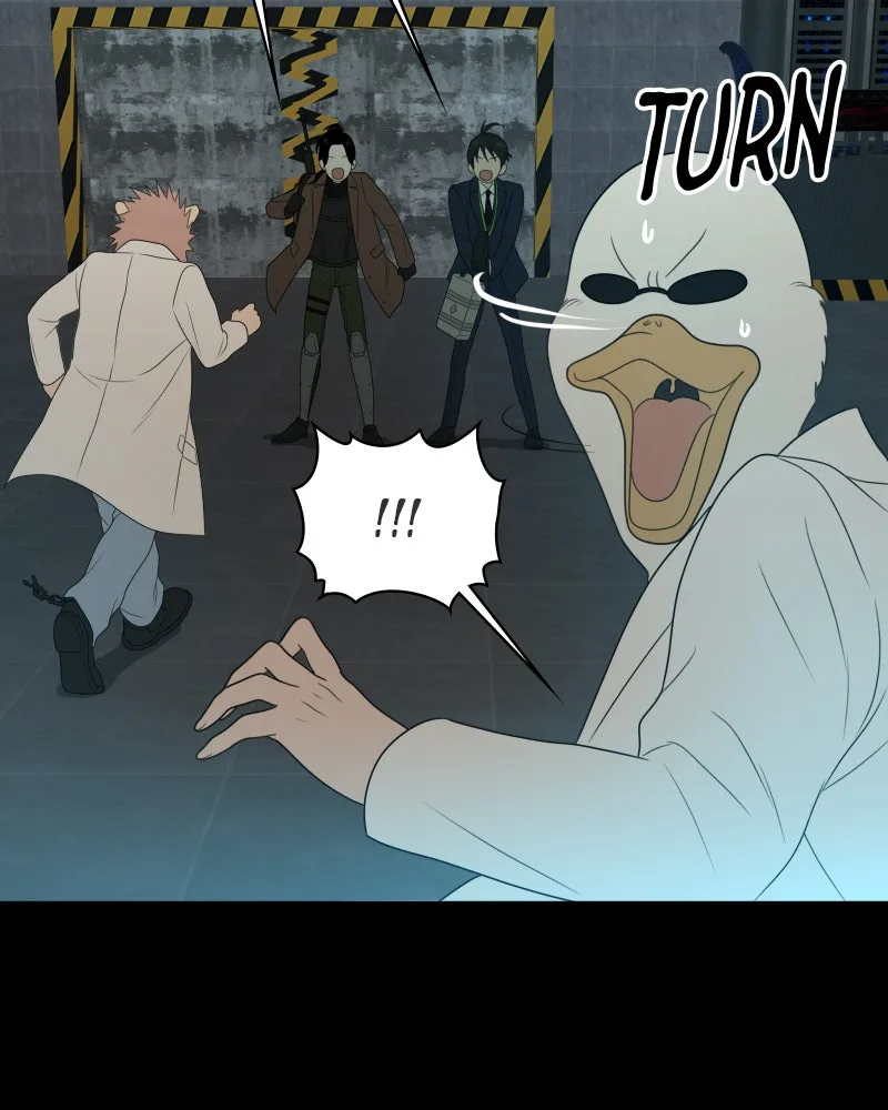 The Studentsof Illip Arts High Chapter 41 page 15