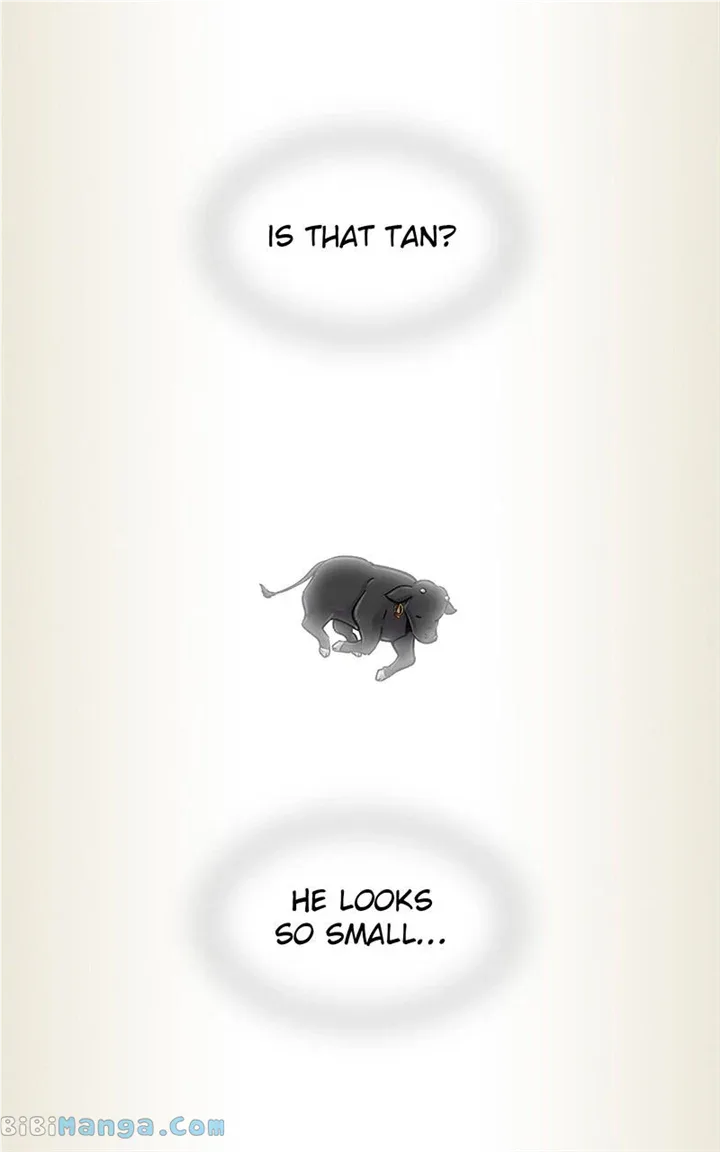 The Witch And The Bull Chapter 128 page 6