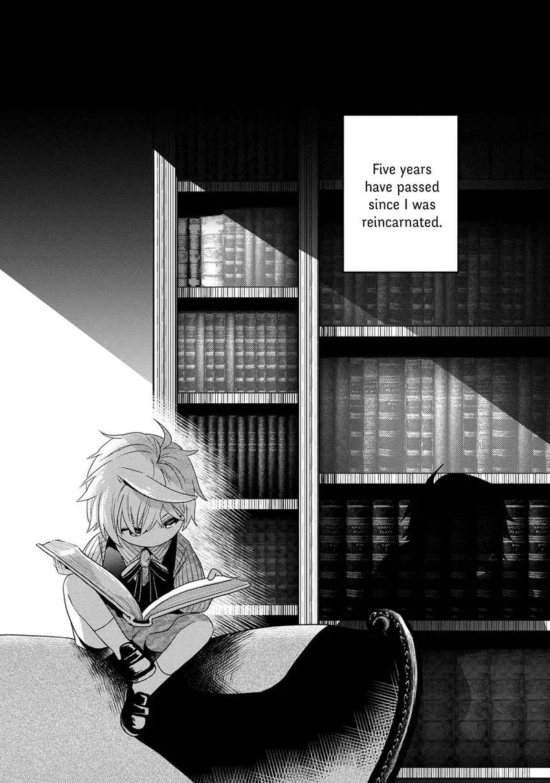 The World's Best Assassin, Reincarnated in a Different World as an Aristocrat Chapter 2 page 1