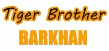Tiger Brother - Barkhan cover