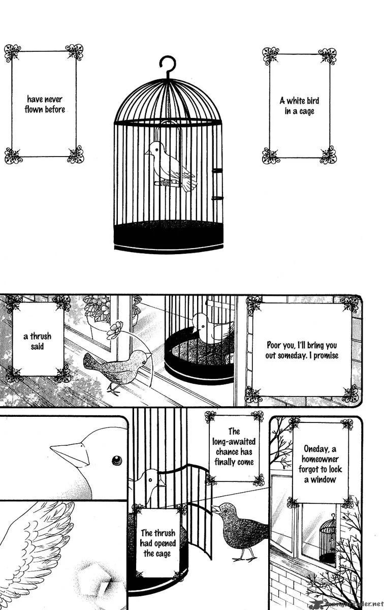 Tobenai Tori Chapter 1 page 8