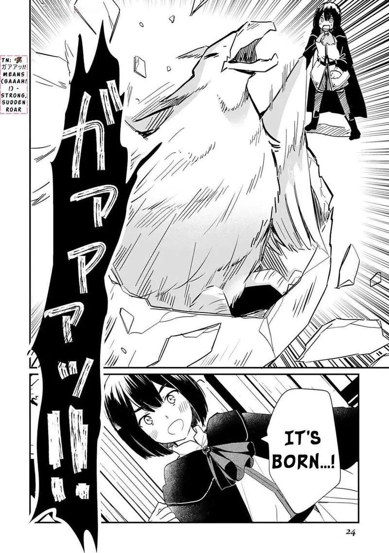 Tokage (Hontou wa Shinryuu) wo Shoukan Shita Seijuu Tsukai, Ryuu no Senaka de Kaitaku Life Chapter 1 page 25